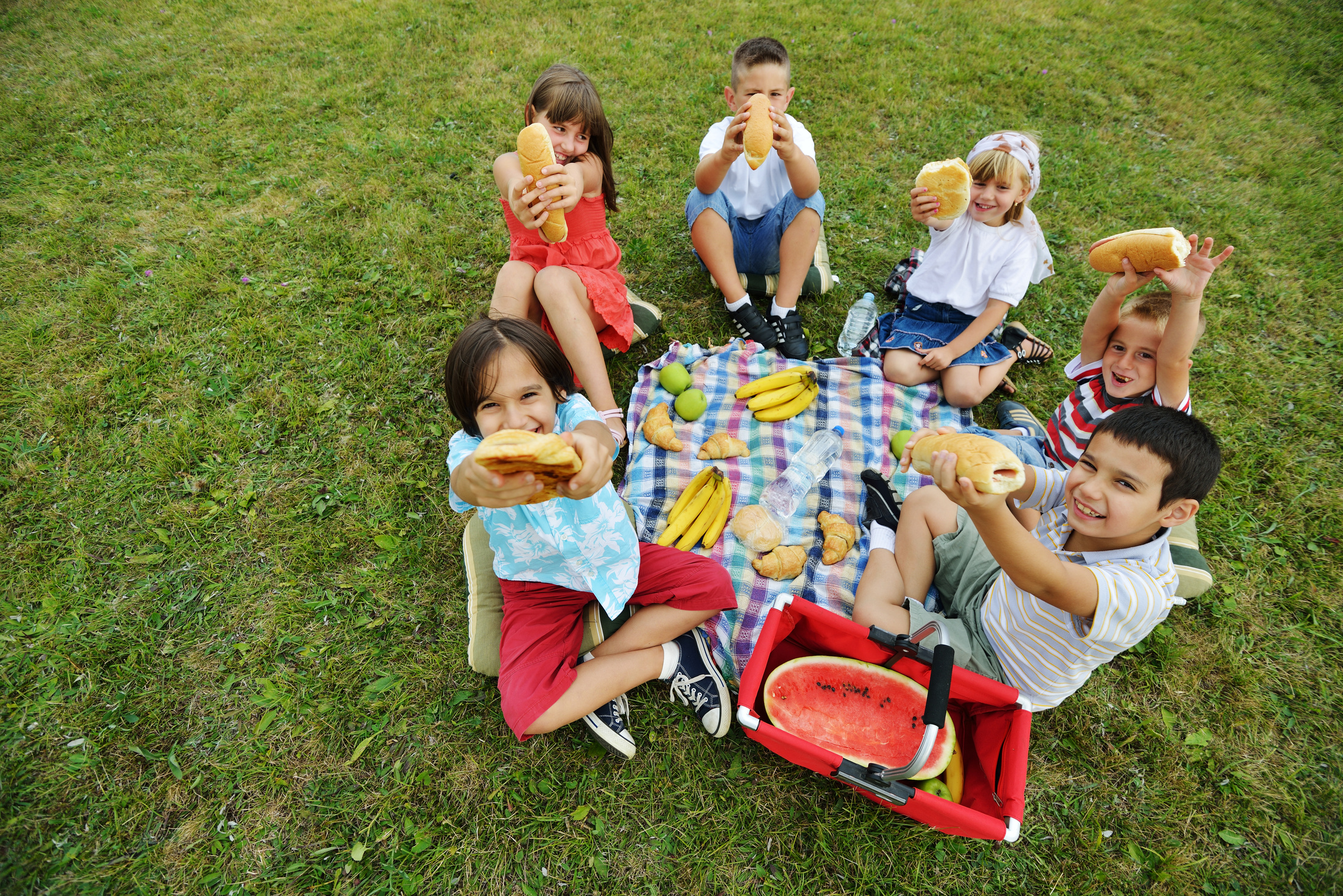 Children Having Picnic 